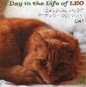 Album artwork for A Day in the Life of Leo: Classical Music for You