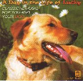 Album artwork for A Day in the Life of Lucky - Classical Music for Y