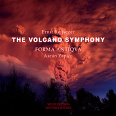 Album artwork for Ernst Reijseger: The Volcano Symphony