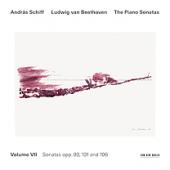 Album artwork for Beethoven: Piano Sonatas Vol. VII (Schiff)
