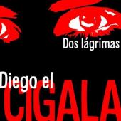 Album artwork for Diego el Cigala: Dos Lagrimas
