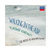 Album artwork for Walking in the Air - Music of Howard Blake / Ashke