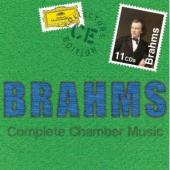 Album artwork for BRAHMS:COMPLETE CHAMBER (11CD)