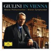 Album artwork for Giulini In Vienna  (15Cd)