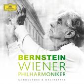 Album artwork for Bernstein & Wiener Philharmoniker 8 CD