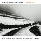 Album artwork for Schumann: Aschenmusik - Holliger
