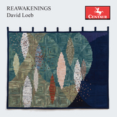 Album artwork for Reawakenings