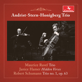 Album artwork for Andrist-Stern-Honigberg Trio