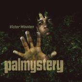 Album artwork for Victor Wooten: Palmystery