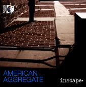 Album artwork for American Aggregate