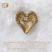 Album artwork for Surrounded by Angels