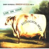 Album artwork for Barry Romberg: ACCIDENTAL BEEF