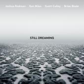 Album artwork for Still Dreaming / Redman, Miles, Colley, Blade