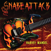 Album artwork for Harvey Mandel - Snake Attack 