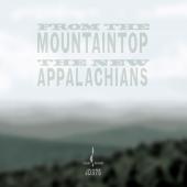 Album artwork for FROM THE MOUNTAINTOP