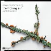 Album artwork for Broening: Trembling Air