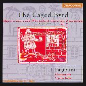 Album artwork for William Byrd: The Caged Byrd