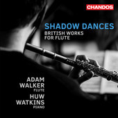 Album artwork for Shadow Dances