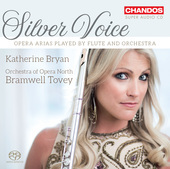 Album artwork for Silver Voice - Arias for Flute and Orchestra / Bry