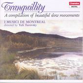 Album artwork for TRANQUILITY - A COMPILATION OF BEAUTIFUL SLOW MOVE