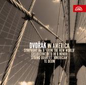 Album artwork for Dvorak in America (3 CD set)