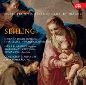 Album artwork for Sehling: Baroque Christmas in Prague Cathedral