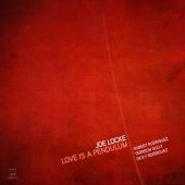 Album artwork for Joe Locke / Love is a Pendulum