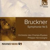 Album artwork for Bruckner: Symphony #5 / Herreweghe