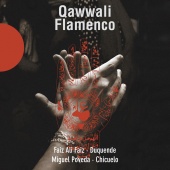 Album artwork for QAWWALI FLAMENCO
