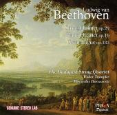 Album artwork for Beethoven: String Quartet, Piano Quartet, Fugue