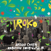 Album artwork for Iroko (LP)