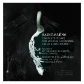 Album artwork for SAINT-SAENS: COMPLETE WORKS FOR VIOLIN & ORCHESTRA
