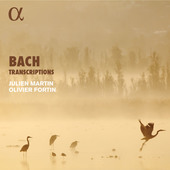 Album artwork for Bach: Transcriptions