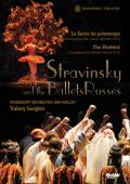 Album artwork for Stravinsky: Firebird, Rite of Spring / Mariinsky