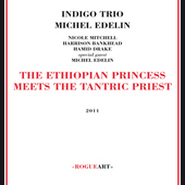 Album artwork for Indigo Trio + Michel Edelin - Ethiopian Princess M