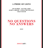 Album artwork for A Pride Of Lions - No Questions No Answers 