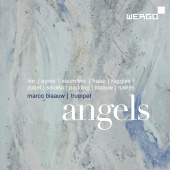 Album artwork for Angels - Compositions for Trumpet. Blaauw