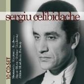 Album artwork for Sergiu Celibidache