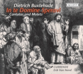 Album artwork for Buxtehude: In te Domine Speravi (van Nevel)
