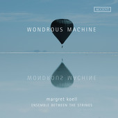 Album artwork for Woundrous machine