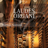 Album artwork for Laudes Organi
