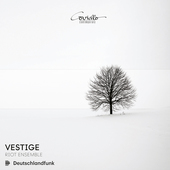 Album artwork for Vestige