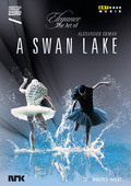 Album artwork for Karlsson: A Swan Lake