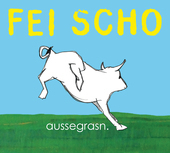 Album artwork for Fei Scho - Aussegrasn 