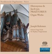 Album artwork for North German Organ Masters vol.6 / Praetorius