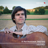 Album artwork for A Harmonious Journey