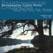 Album artwork for Scandinavian Choir Music / Amadeus-Chor, Matt