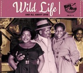 Album artwork for Wild Life 