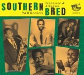 Album artwork for Southern Bred 22 Tennessee R&B Rockers: Trouble Tr