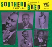 Album artwork for Southern Bred 23 Tennessee R&B Rockers: Rough Love